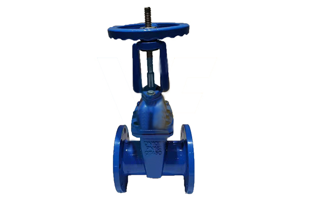 OS&Y Rising Stem BS5163 Resilient Gate Valve